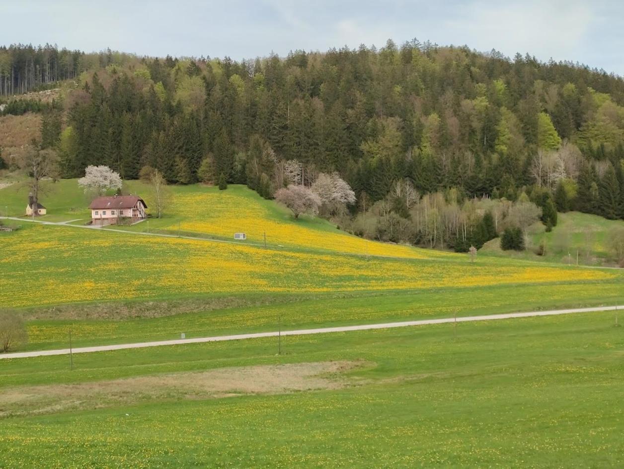 Ferienhaus Schöller Schönbach Exterior foto